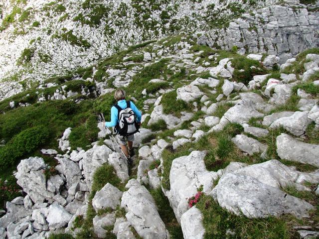 auf dem gleichen Weg wie wir gekommen sind, geht es wieder abwärts