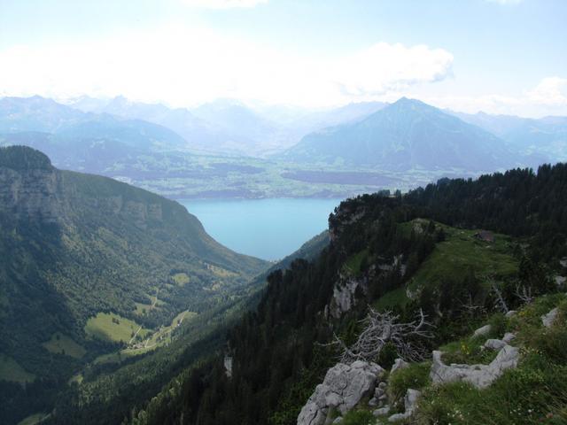 Blick ins Justistal, Thunersee und Niesen