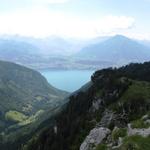 Blick ins Justistal, Thunersee und Niesen