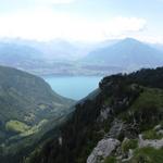 Blick ins Justistal, Thunersee und Niesen
