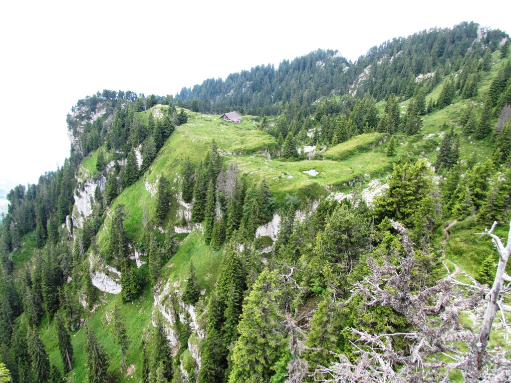 Blick auf Oberbergli mit seiner Alphütte
