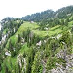 Blick auf Oberbergli mit seiner Alphütte