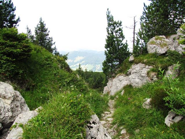 ein schönes und romantisches Teilstück der Wanderung