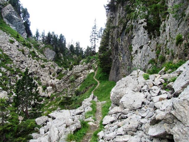 am Chälengraben entlang, wandern wir weiter abwärts Richtung Punkt 1694 m.ü.M.