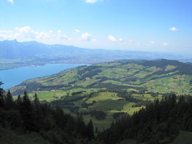 Blick auf den Thunersee mit Thun