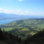 Blick auf den Thunersee mit Thun