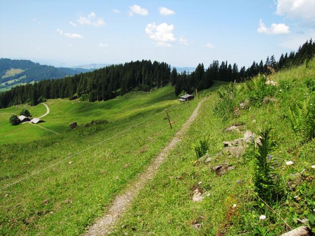 wir haben das Almgelände von Bodmi erreicht