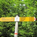 Wegweiser bei Bodmi 1422 m.ü.M. über Waldwege führt der Weg weiter Richtung Schwanden/Sagi
