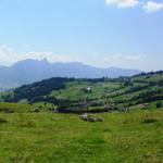 Blick auf Schwanden / Sagi