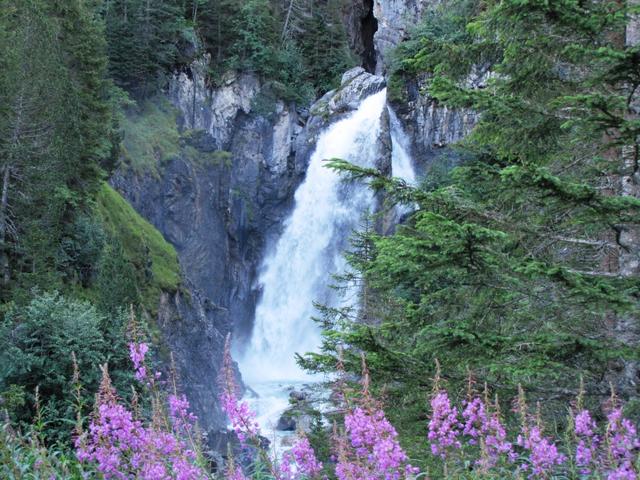 die Schlucht wird vor allem vom Wasser des Rosenlauigletscher gespiesen