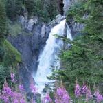 die Schlucht wird vor allem vom Wasser des Rosenlauigletscher gespiesen