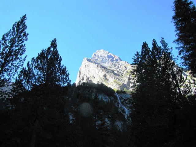 Blick zwischen den Tannen hinauf zum kleinen Wellhorn