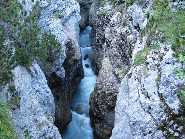 noch hier oben ist die Schlucht imposant