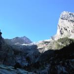 Blick hinauf zum Rosenlauigletscher. Rechts das kleine Wellhorn