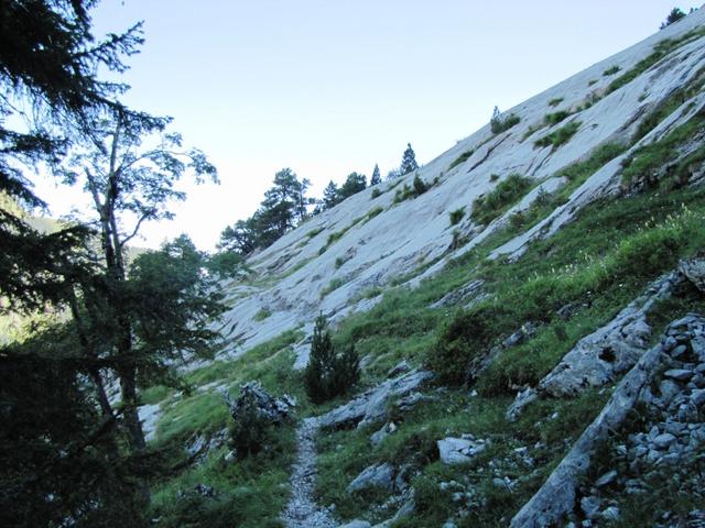 wir sind links zur Engelhornhütte abgebogen