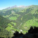 Tiefblick ins Reichenbachtal mit dem Hotel Rosenlaui