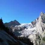 Blick hinauf zum Rosenlauigletscher. Links der Dossen, rechts das Wellhorn