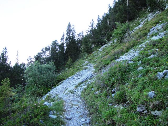 am Fusse des Rosenlauistock geht es weiter Richtung Engelhornhütte