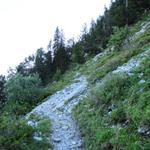 am Fusse des Rosenlauistock geht es weiter Richtung Engelhornhütte