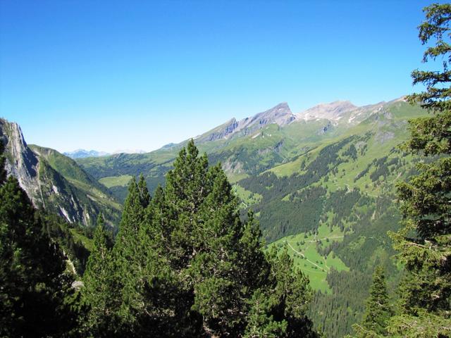 Blick von der Engelhornhütte in das Reichenbachtal und die grosse Scheidegg