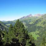 Blick von der Engelhornhütte in das Reichenbachtal und die grosse Scheidegg
