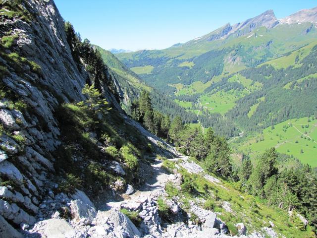 auf dem gleichen Weg wie wir gekommen sind, geht es nun wieder mit einem schönen Blick auf das Reichenbachtal, zurück