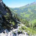 auf dem gleichen Weg wie wir gekommen sind, geht es nun wieder mit einem schönen Blick auf das Reichenbachtal, zurück