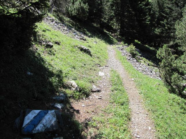 bei der namenslosen Wegkreuzung wandern wir nun auf weiss-blau-weissem Bergweg geradeaus zur Dossenhütte