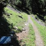 bei der namenslosen Wegkreuzung wandern wir nun auf weiss-blau-weissem Bergweg geradeaus zur Dossenhütte