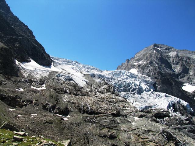 Blick zum Rosenlauigletscher und Wellhorn