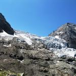 Blick zum Rosenlauigletscher und Wellhorn