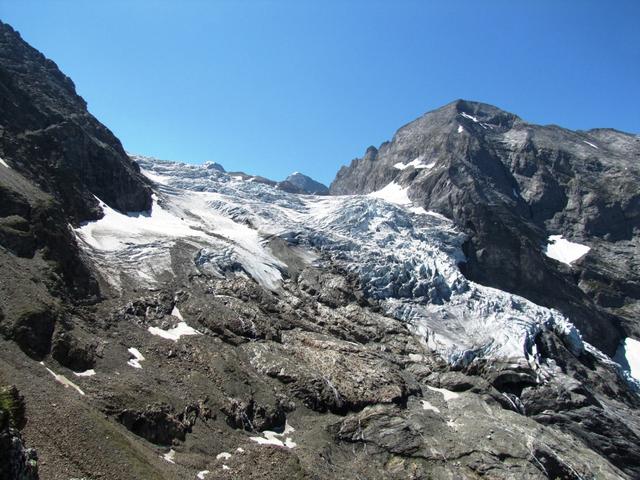 Blick auf den Rosenlauigletscher und Wellhorn