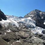 Blick auf den Rosenlauigletscher und Wellhorn