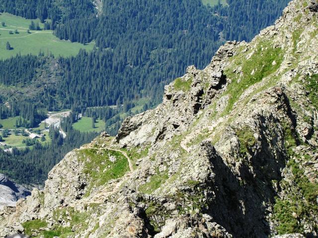 Tiefblick auf das Reichenbachtal und auf den Bergweg