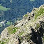 Tiefblick auf das Reichenbachtal und auf den Bergweg