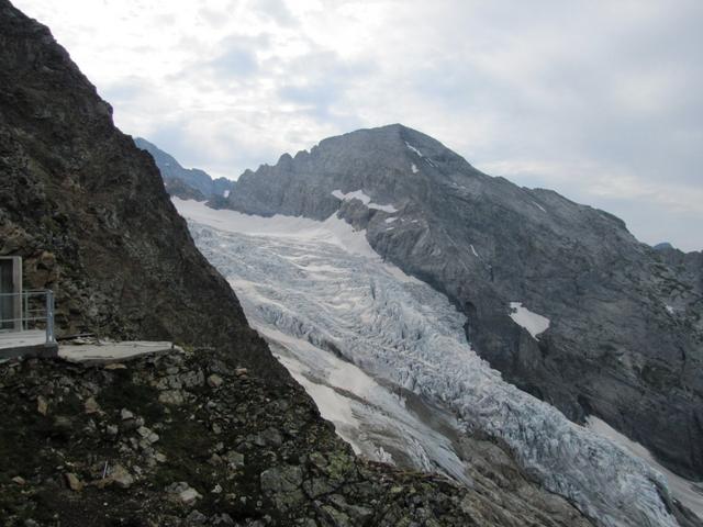 Blick auf den Rosenlauigletscher und Wellhorn