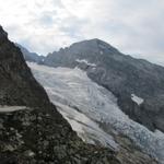 Blick auf den Rosenlauigletscher und Wellhorn