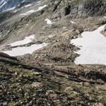 der Weg führt über Altschneefelder