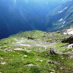 Blick auf die Alp Enzen