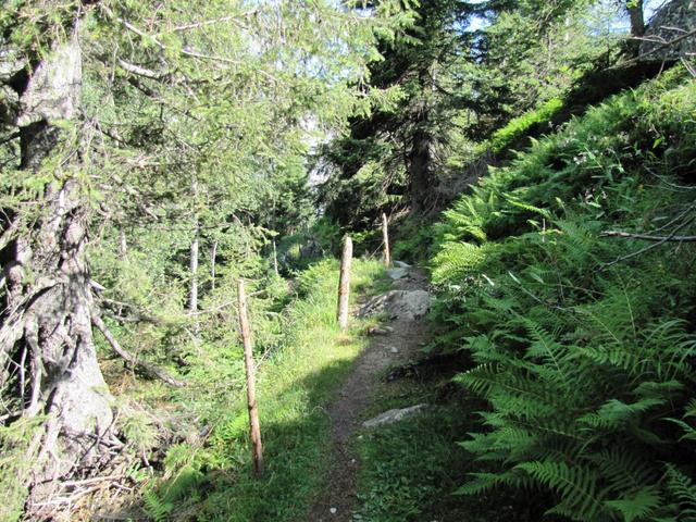 wir sind bei der Wegkreuzung bei Schrätteren links ins Urbachtal abgebogen