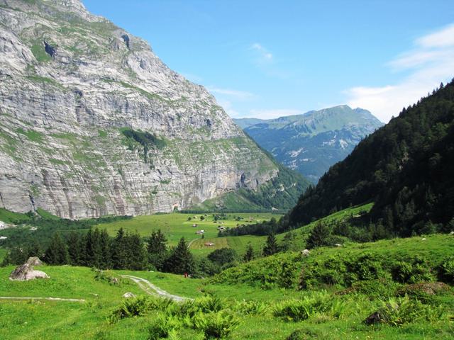 Blick auf das schöne und ruhige Urbachtal