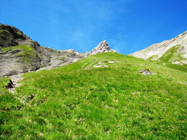 der Pfad wird nun merklich steiler