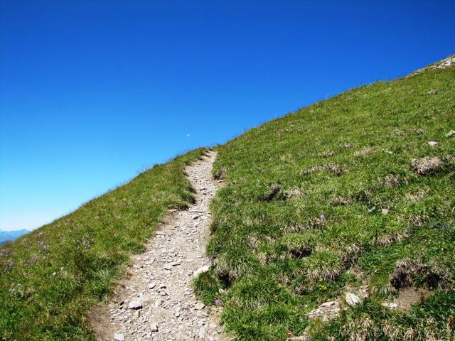 auf gutem Weg geht es weiter aufwärts Richtung Bunderspitz