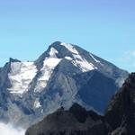 Blick zum Balmhorn und Altels