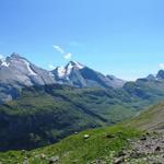 Balmhorn, Altels und Rinderhorn. Im Vordergrund der Üschenegrat