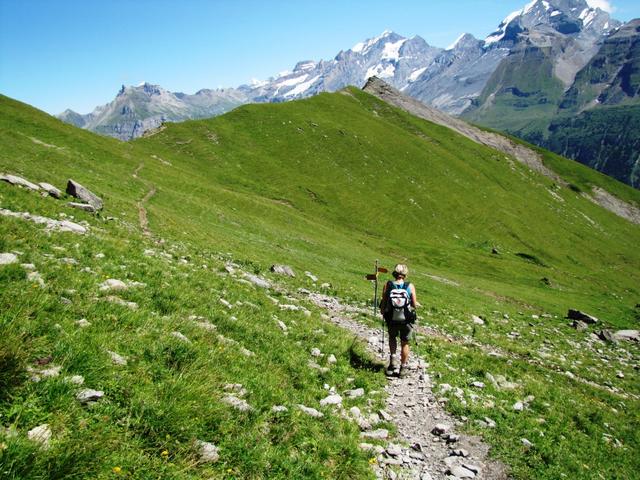 bei der Wegkreuzung Punkt 2254 m.ü.M. wird es wieder grün