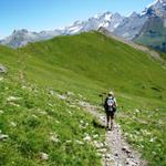 bei der Wegkreuzung Punkt 2254 m.ü.M. wird es wieder grün