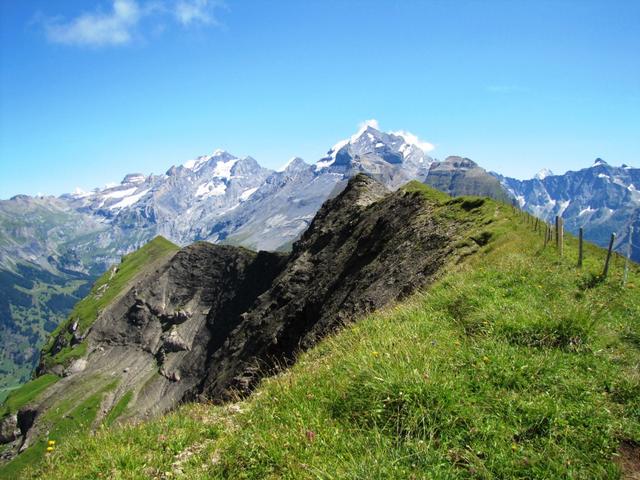 über den schönen Alpschelegrat wandern wir zum Alpschelehubel