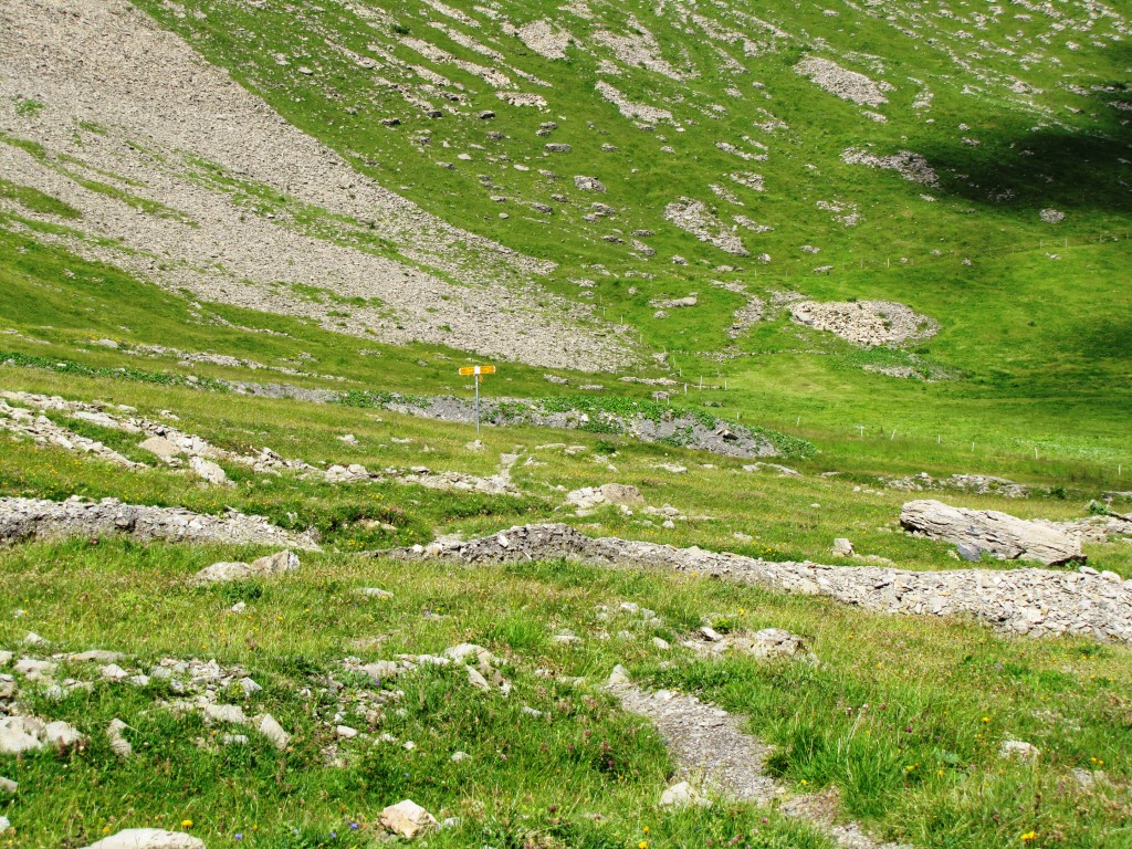 kurz vor der Wegkreuzung bei Punkt 2102 m.ü.M.