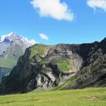 Blick hinauf zum Alpschelehubel. Der Abstecher zum Hubel hat sich gelohnt. Wir haben eine traumhafte Aussicht genossen